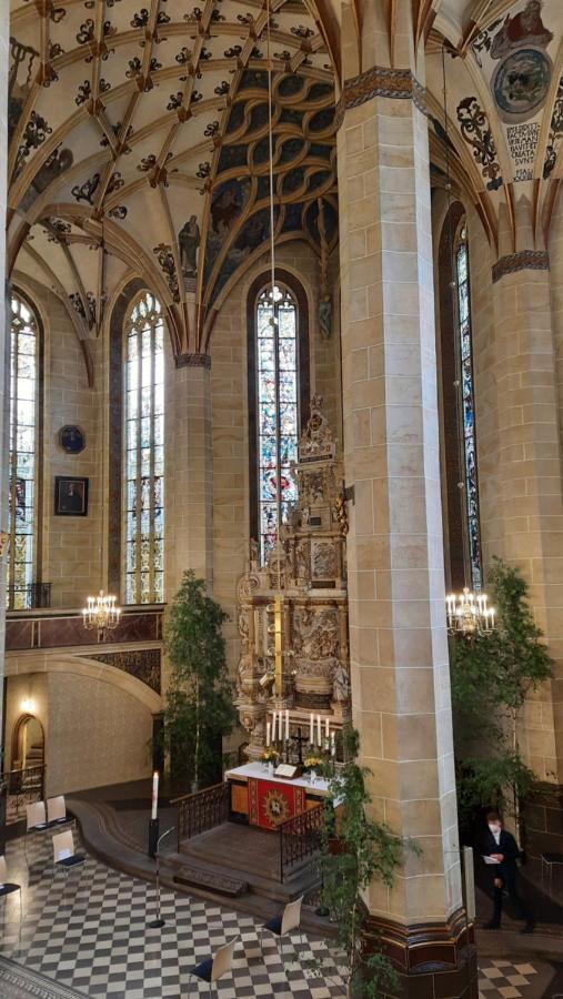 Pirna Altstadtgefluester Zewnętrze zdjęcie