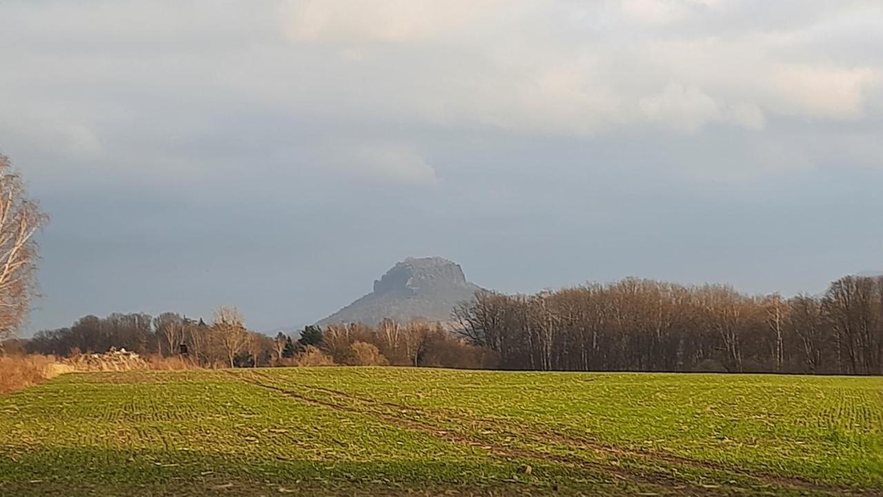 Pirna Altstadtgefluester Zewnętrze zdjęcie