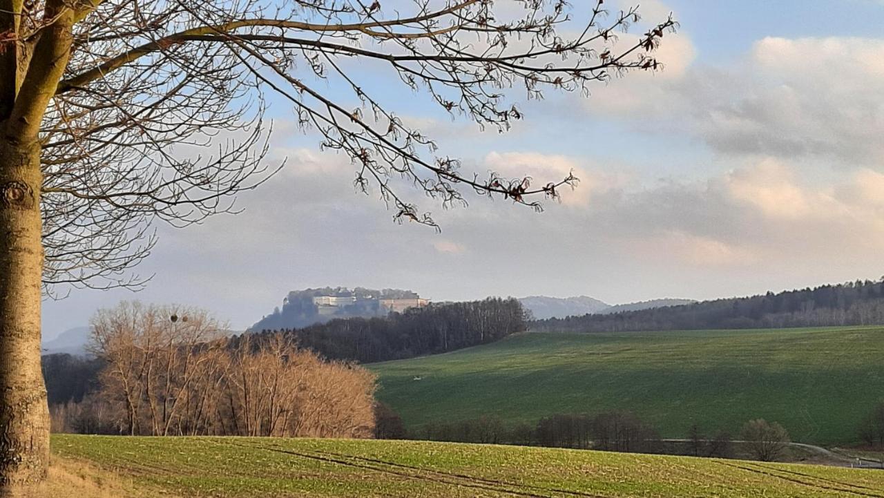 Pirna Altstadtgefluester Zewnętrze zdjęcie